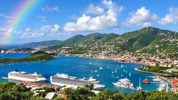 A coastal town with a cruise ship docked, surrounded by lush greenery and a clear blue sea.
