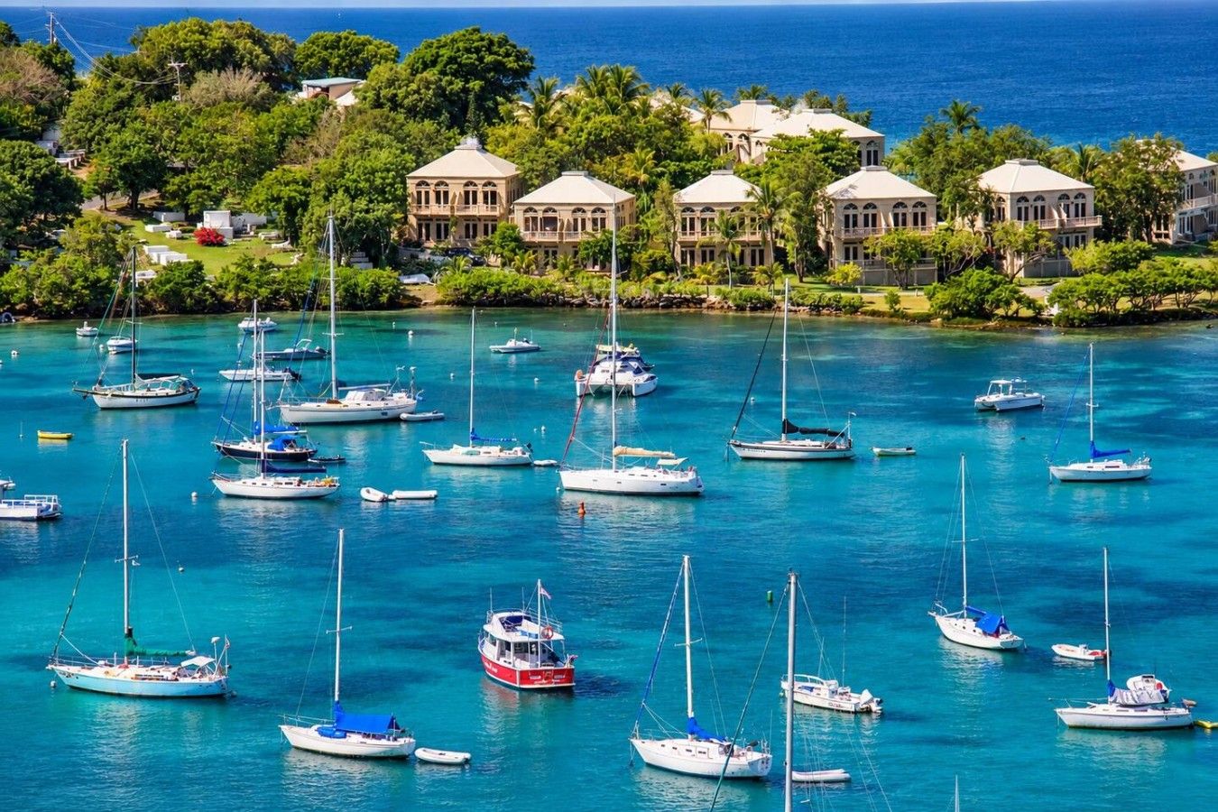 A coastal area with multiple sailboats docked in a marina, surrounded by lush greenery and a backdrop of buildings.