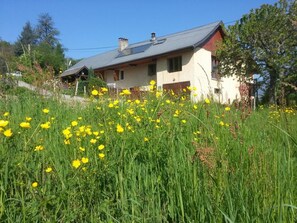 A house with a sloped roof, surrounded by a field of yellow flowers. - The Little Warrior (CHAMBERY)