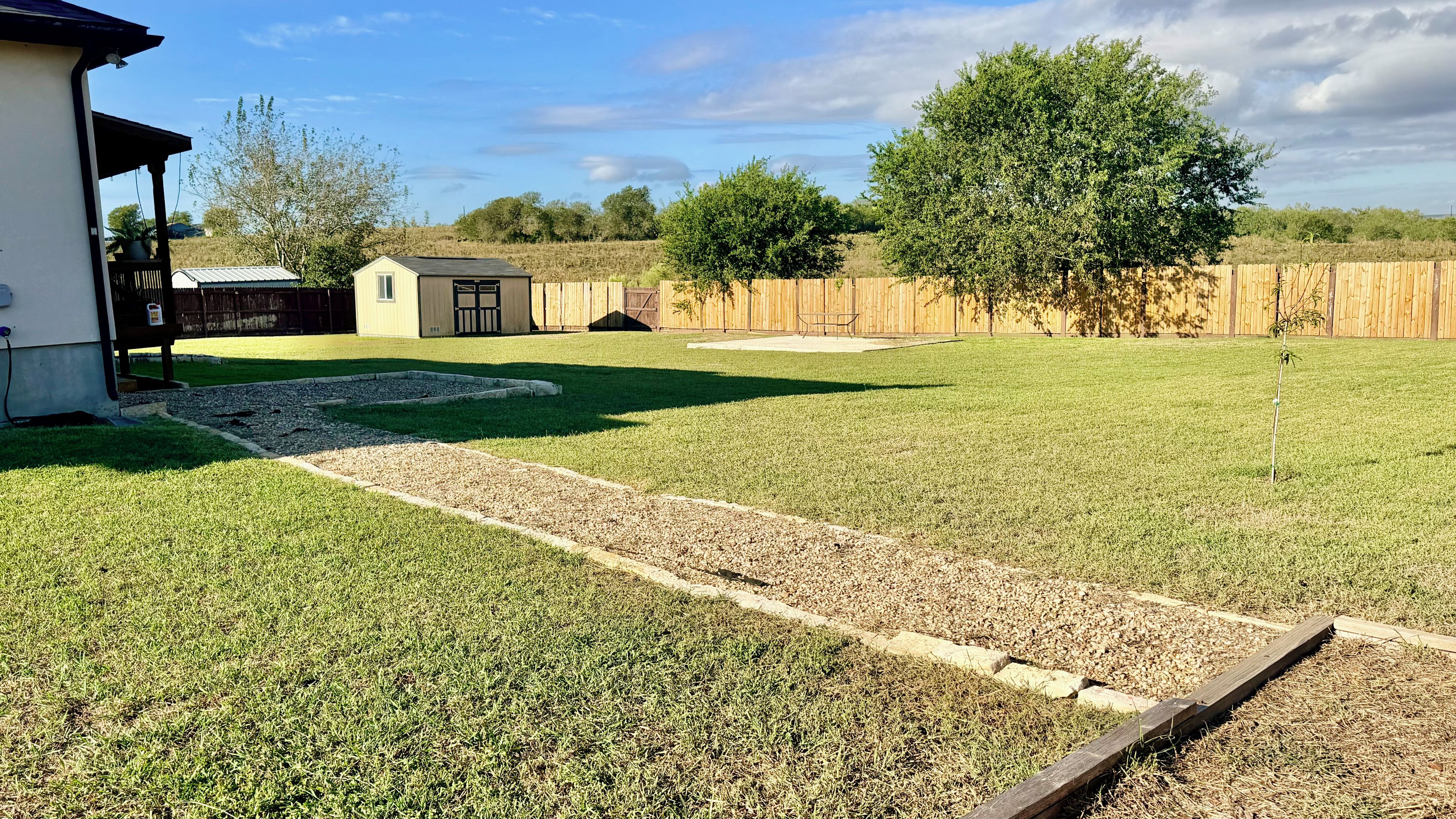 A backyard with a lawn, a small shed, a wooden fence, and a tree.