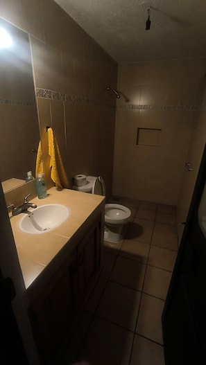 Een badkamer met een wastafel, spiegel, toilet en douche.