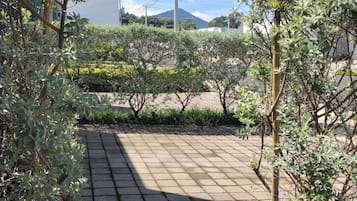 A paved pathway with greenery on either side, leading to a building with a white facade.