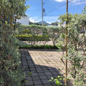 A paved pathway with greenery on either side, leading to a building with a white facade.