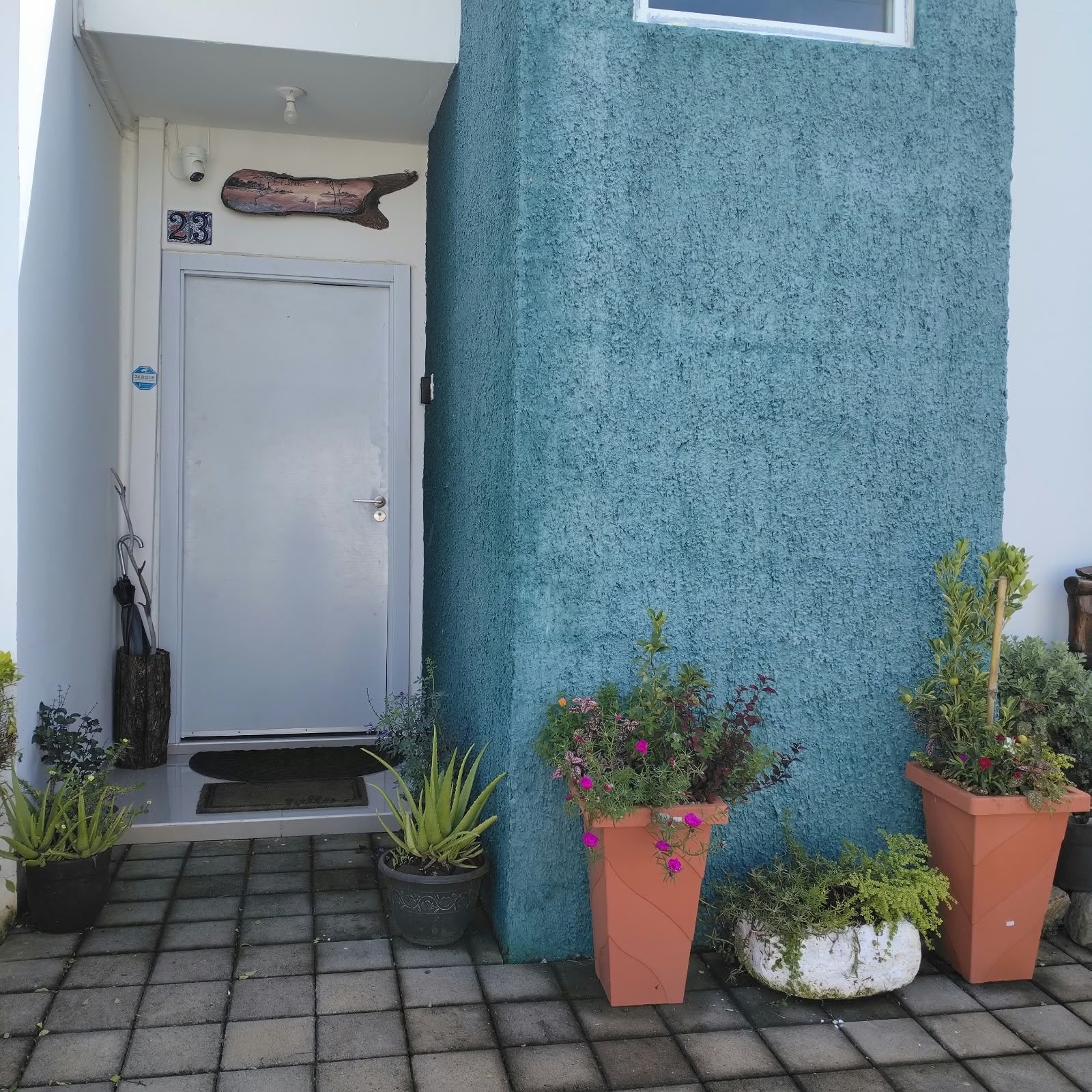 A door with a number '23' sign above it, a blue textured wall, and several potted plants in front of the door.