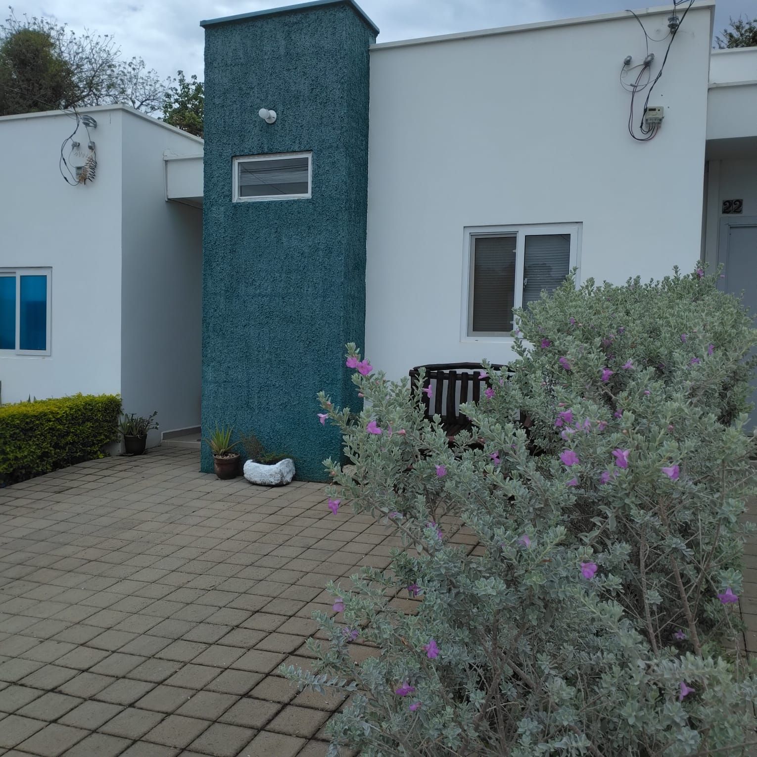 Un edificio con fachada texturizada, una ventana pequeña y una puerta. Hay plantas en macetas y un arbusto de flores en primer plano.