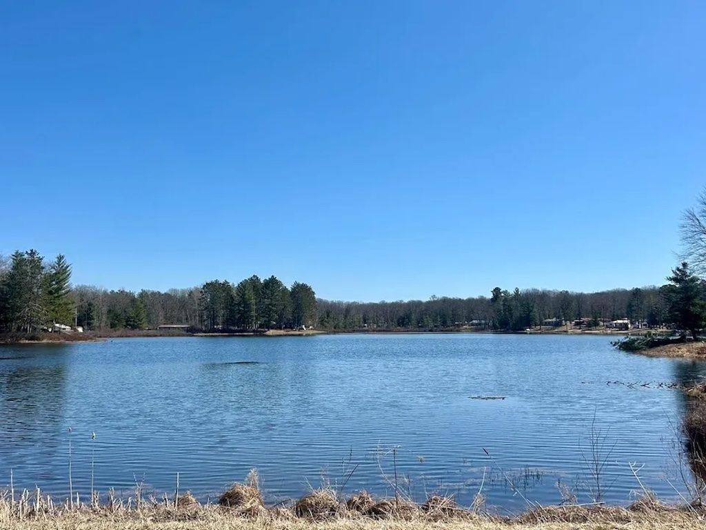 Un lago tranquilo con cielo despejado, rodeado de árboles y una orilla lejana.