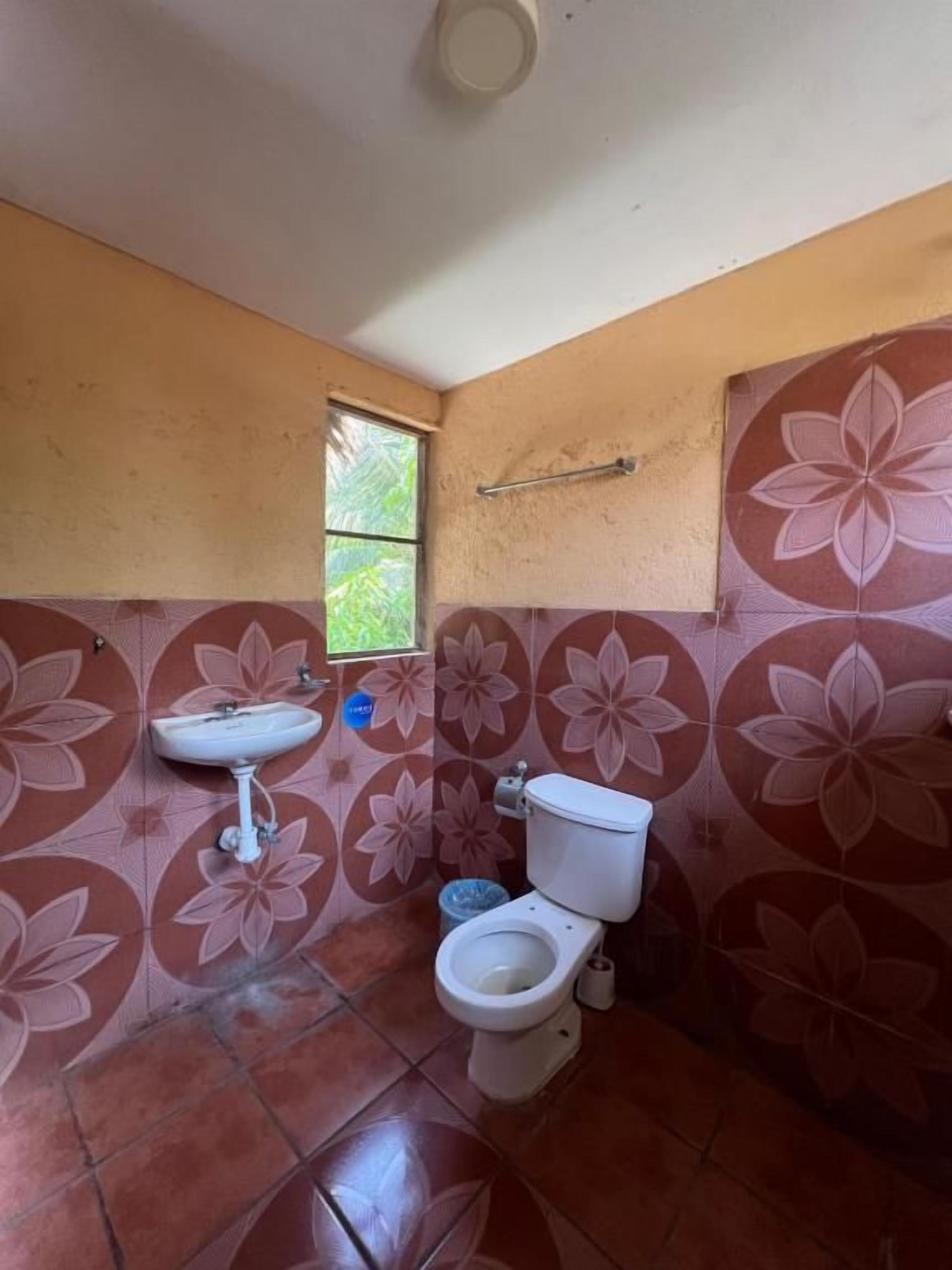 A bathroom with a toilet, sink, and a window.