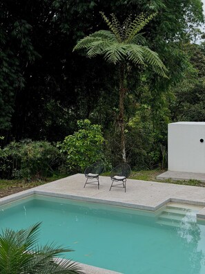 A swimming pool with two chairs and a white wall in a lush garden. - Casa Unai Boutique Lodge  (Nanegalito)