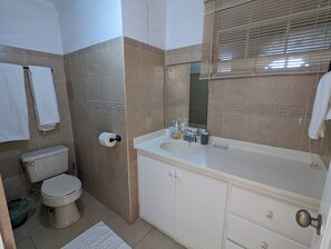 A bathroom with a toilet, sink, and mirror. - Kite Surfing, Beach opp Fantastic 1-bedroom apartment with AC . (Oistins)