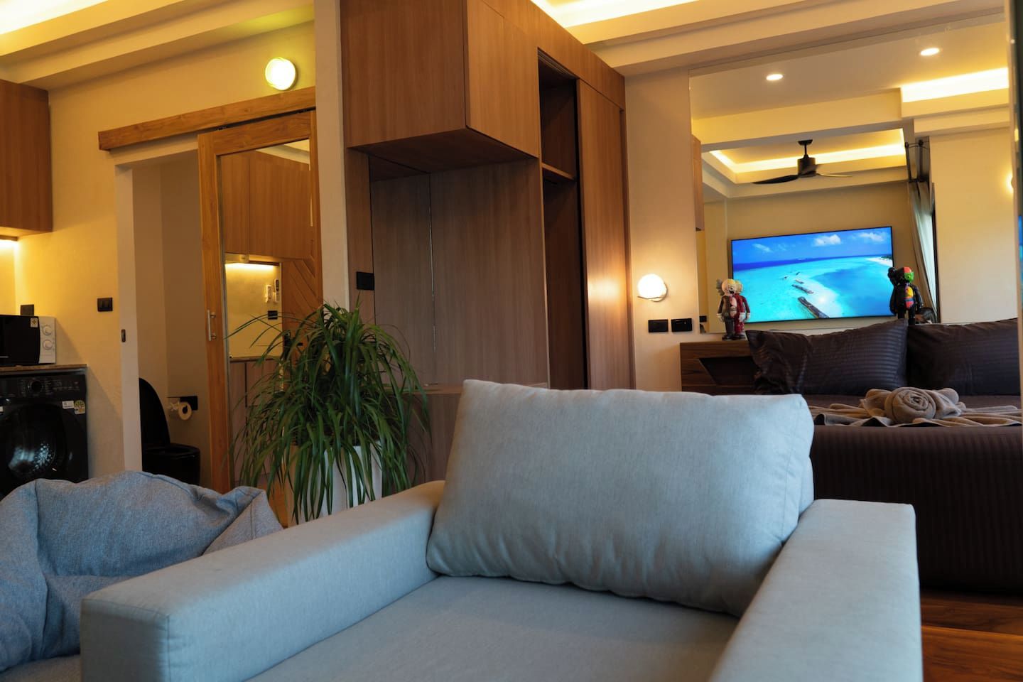 A modern living room with a sofa, a television, and a plant.