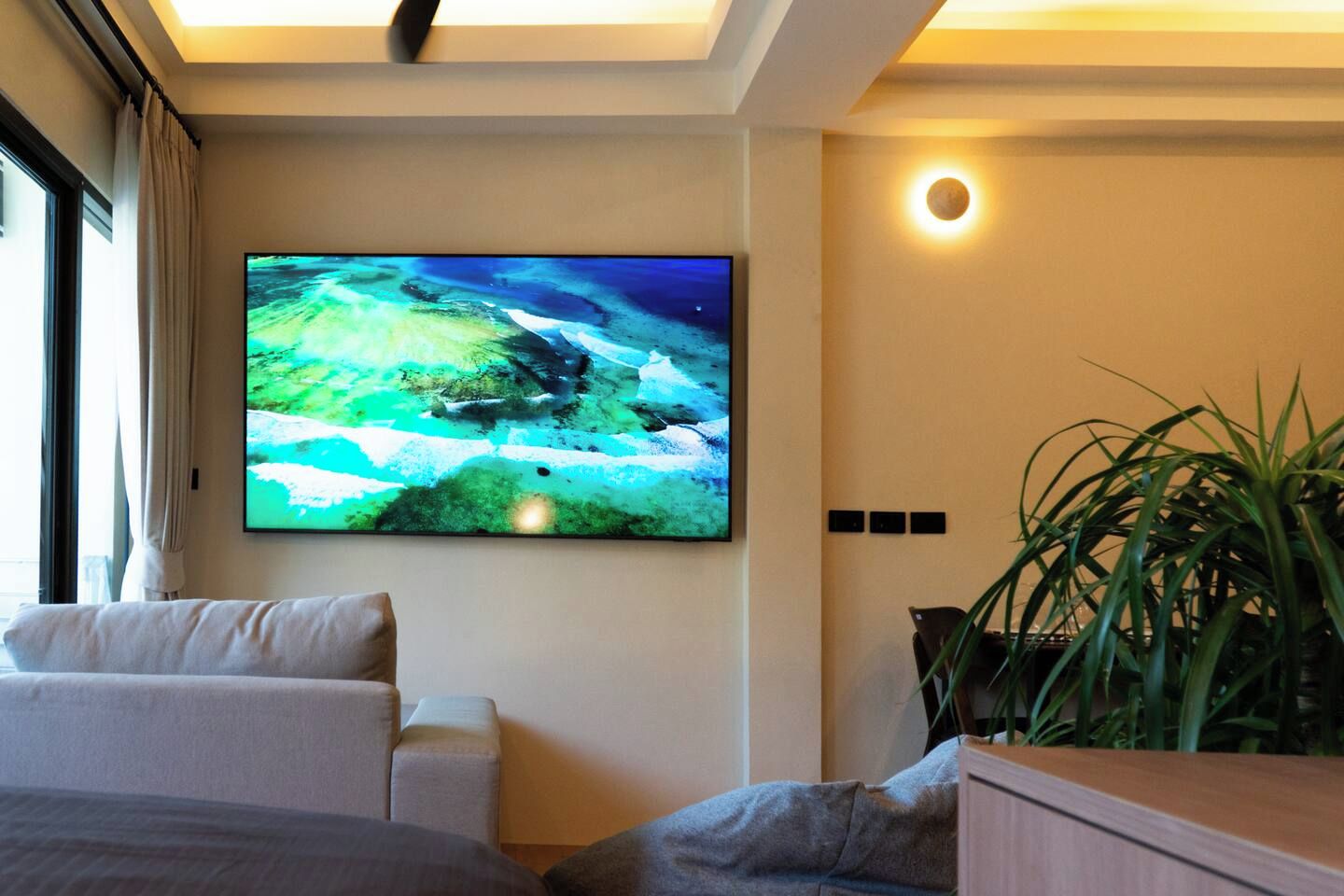 A modern living room with a flat-screen TV mounted on the wall, a sofa, a coffee table, and a potted plant.