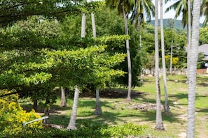 Un paysage tropical avec des palmiers et une végétation luxuriante.