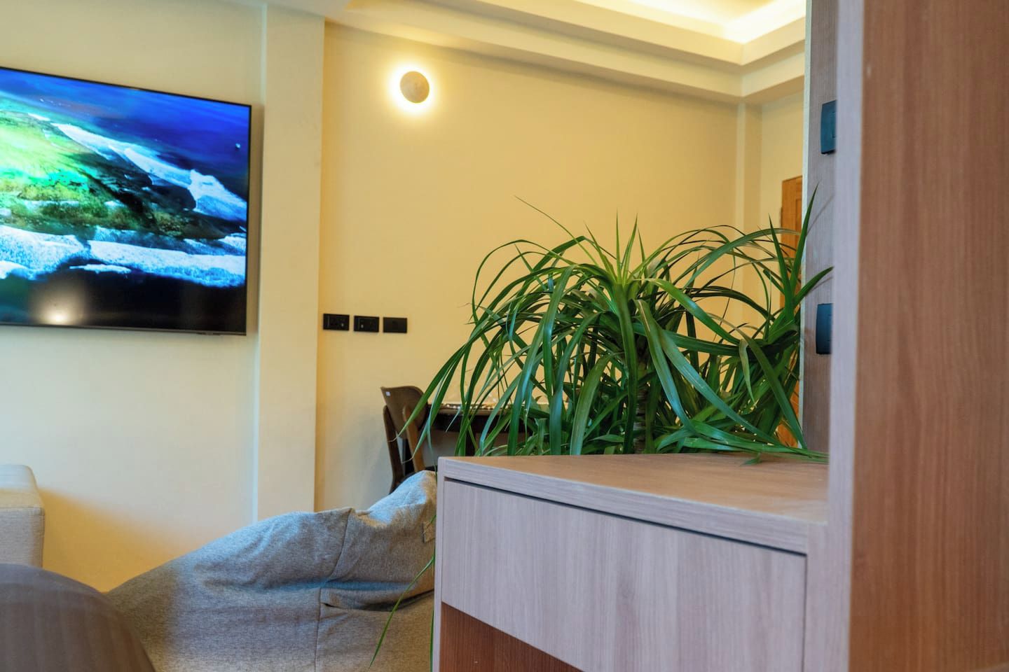 Una habitación con una televisión de pantalla plana montada en la pared, un mueble de madera y una planta en maceta.