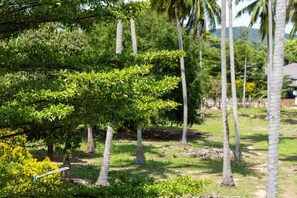 Un paysage tropical avec des palmiers et une végétation luxuriante.