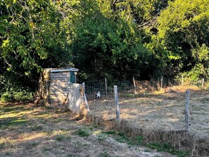 A fenced outdoor area with a small wooden structure, possibly a shed, surrounded by trees and dry grass. - From Locmaria - LA CHAPELLE NEUVE (LA CHAPELLE NEUVE)