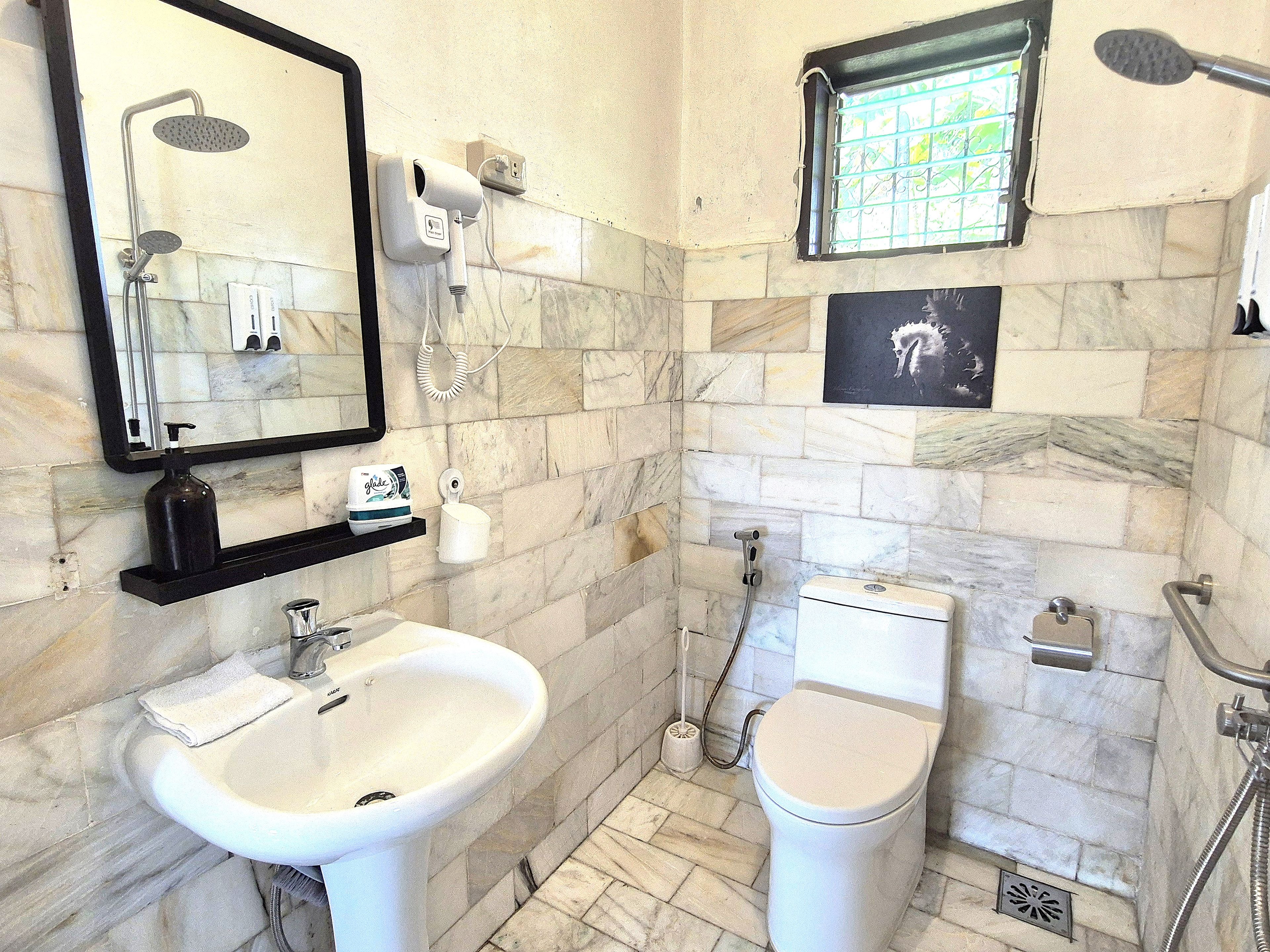 Een badkamer met een wastafel, toilet, douche en spiegel.