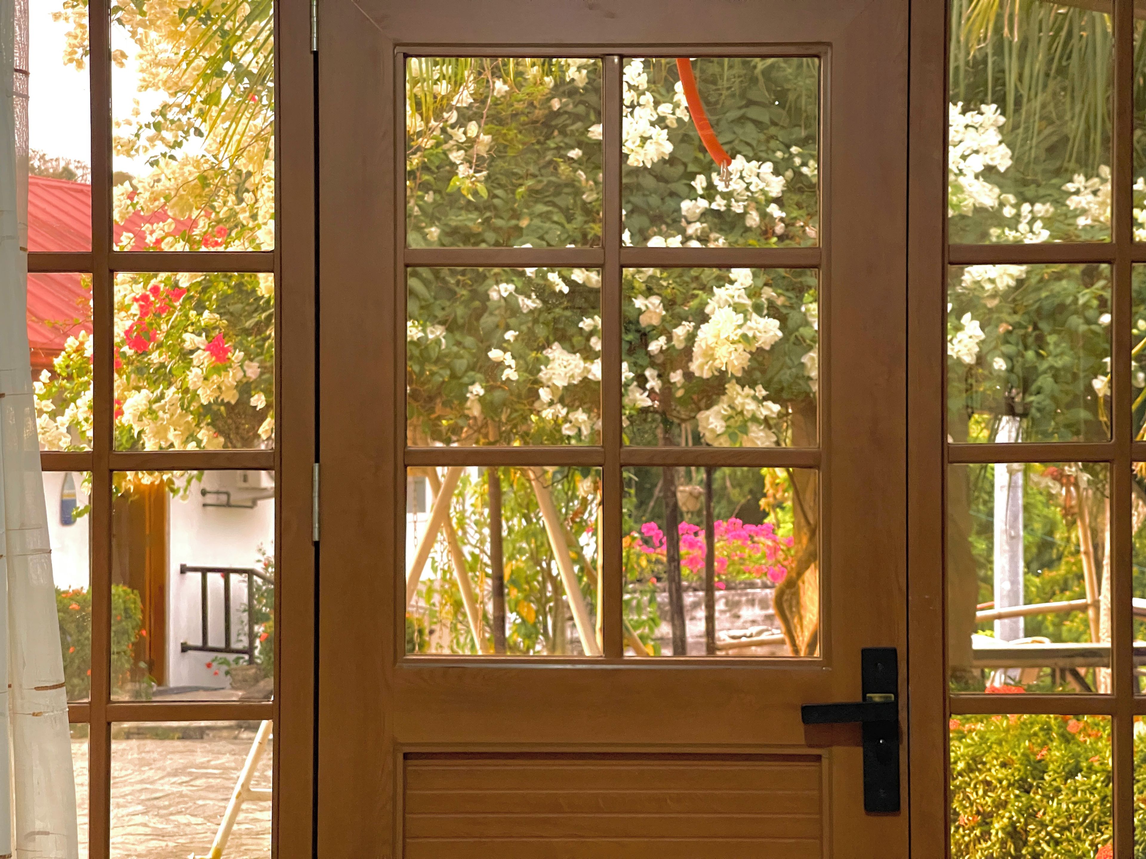 A door with a view of a garden through the glass panels.