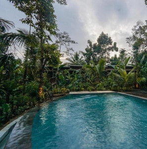 A swimming pool surrounded by lush tropical vegetation. - Daydream Lodge Tegallalang (Sebatu)