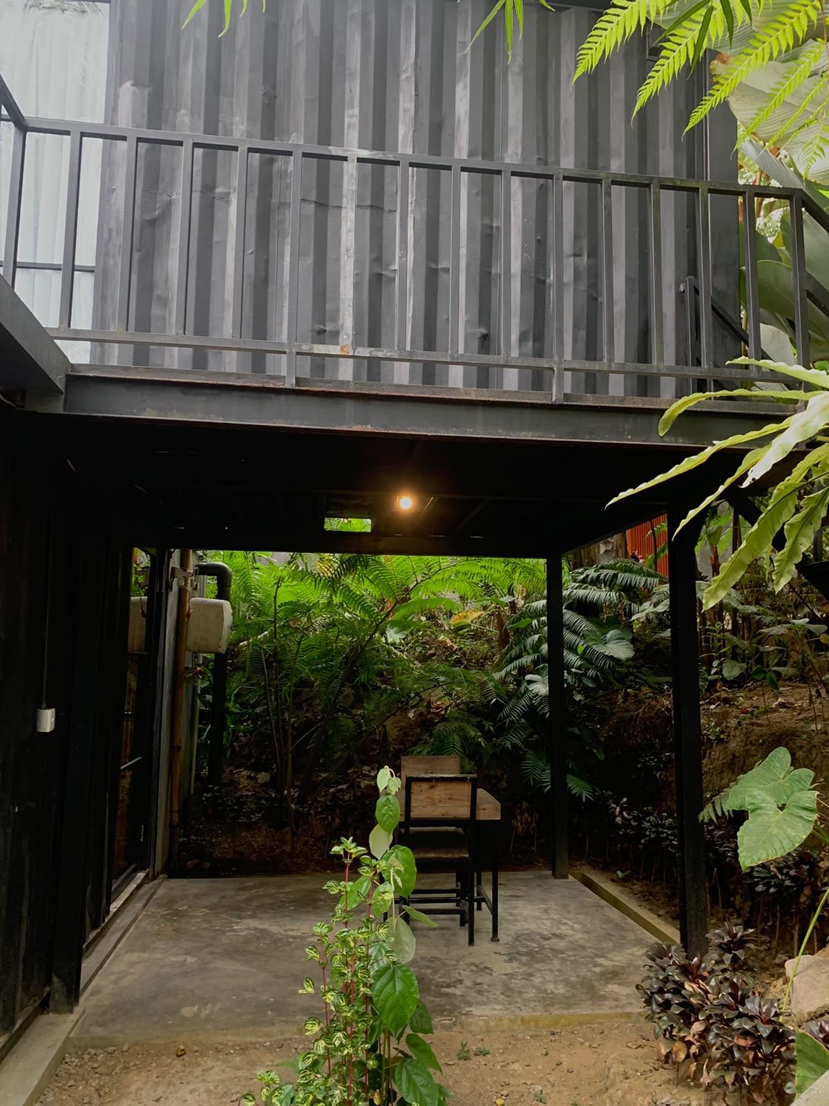 A covered outdoor area with a concrete floor, a wooden bench, and a variety of green plants.