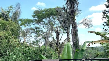 A wooden table and chair on a balcony with a metal railing, surrounded by lush tropical vegetation and a clear blue sky.