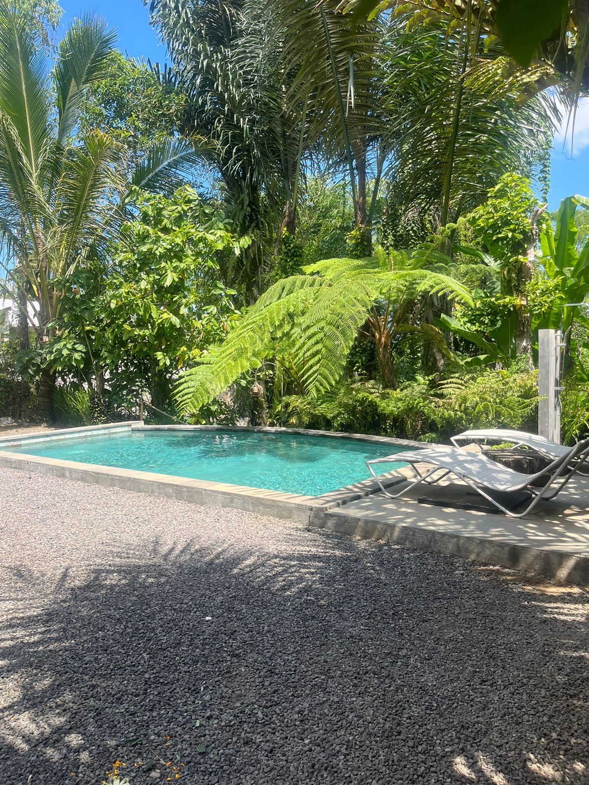Una piscina rodeada de guijarros, con sillas de descanso y abundante follaje.