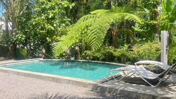 Una piscina rodeada de guijarros, con sillas de descanso y abundante follaje.