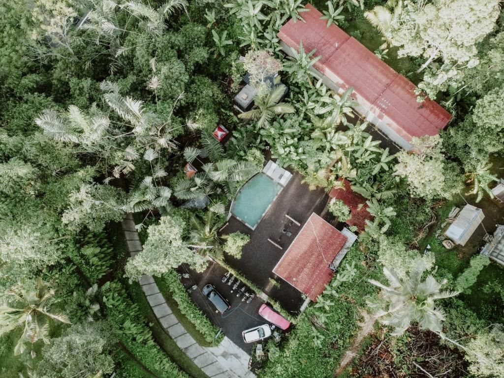 Vista aérea de una propiedad con piscina, edificio de techo rojo y vegetación circundante.