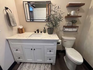 Un bagno con un mobile lavabo bianco, un lavandino, un WC, uno specchio e una pianta in vaso.