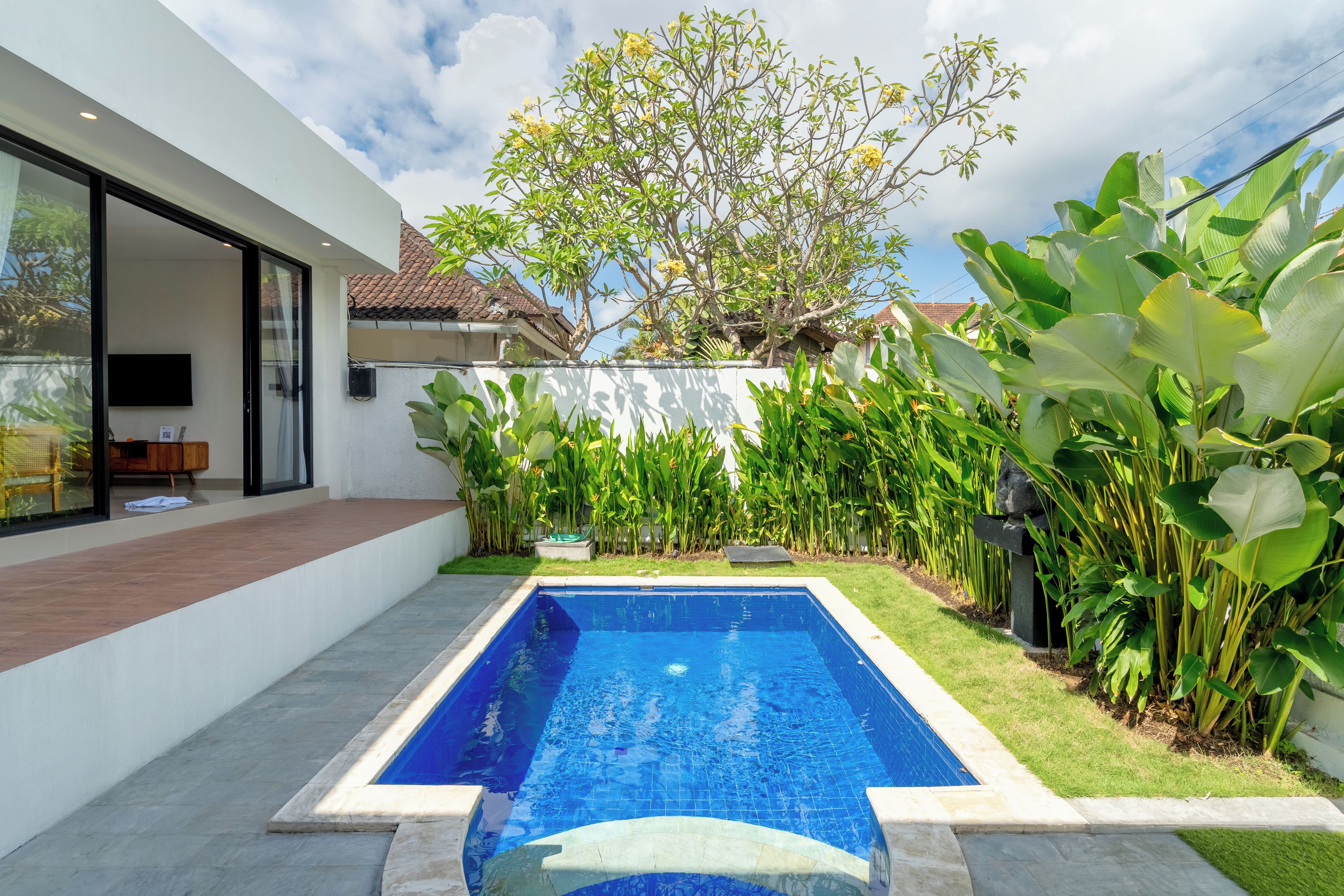 A modern house with a swimming pool, a patio, and a garden with various plants.