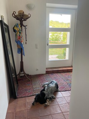 A dog lying on a patterned rug in a room with a tiled floor, a door leading outside, and a coat rack with a hat. - Vrbo Property (Buckow (Märkische Schweiz))