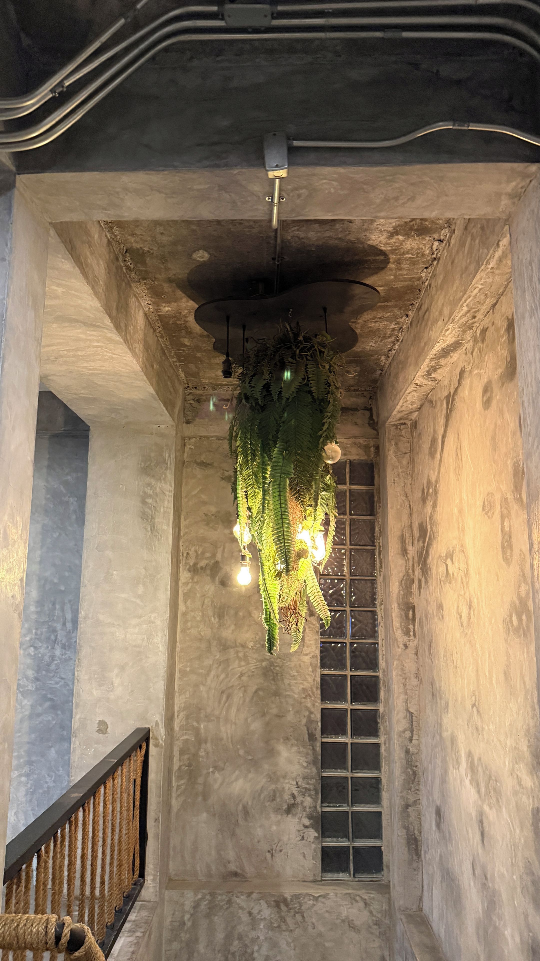 A staircase with a hanging plant arrangement and a metal railing.