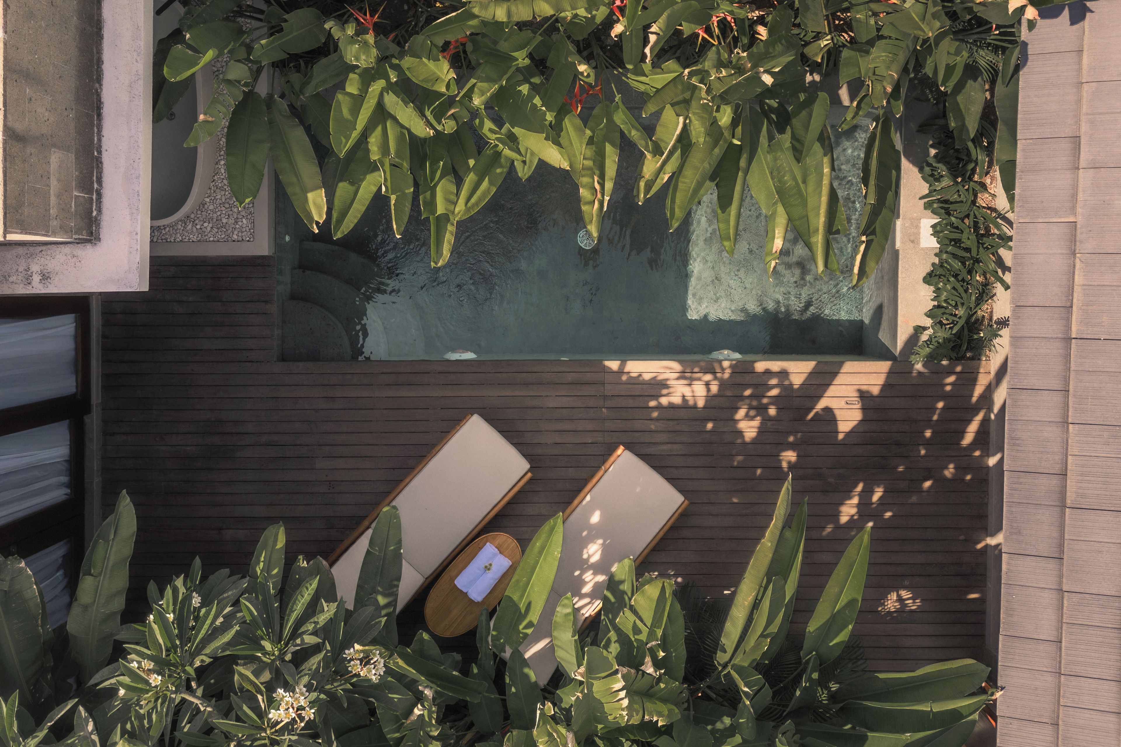 A rooftop garden with a swimming pool, wooden deck, and lounge chairs.
