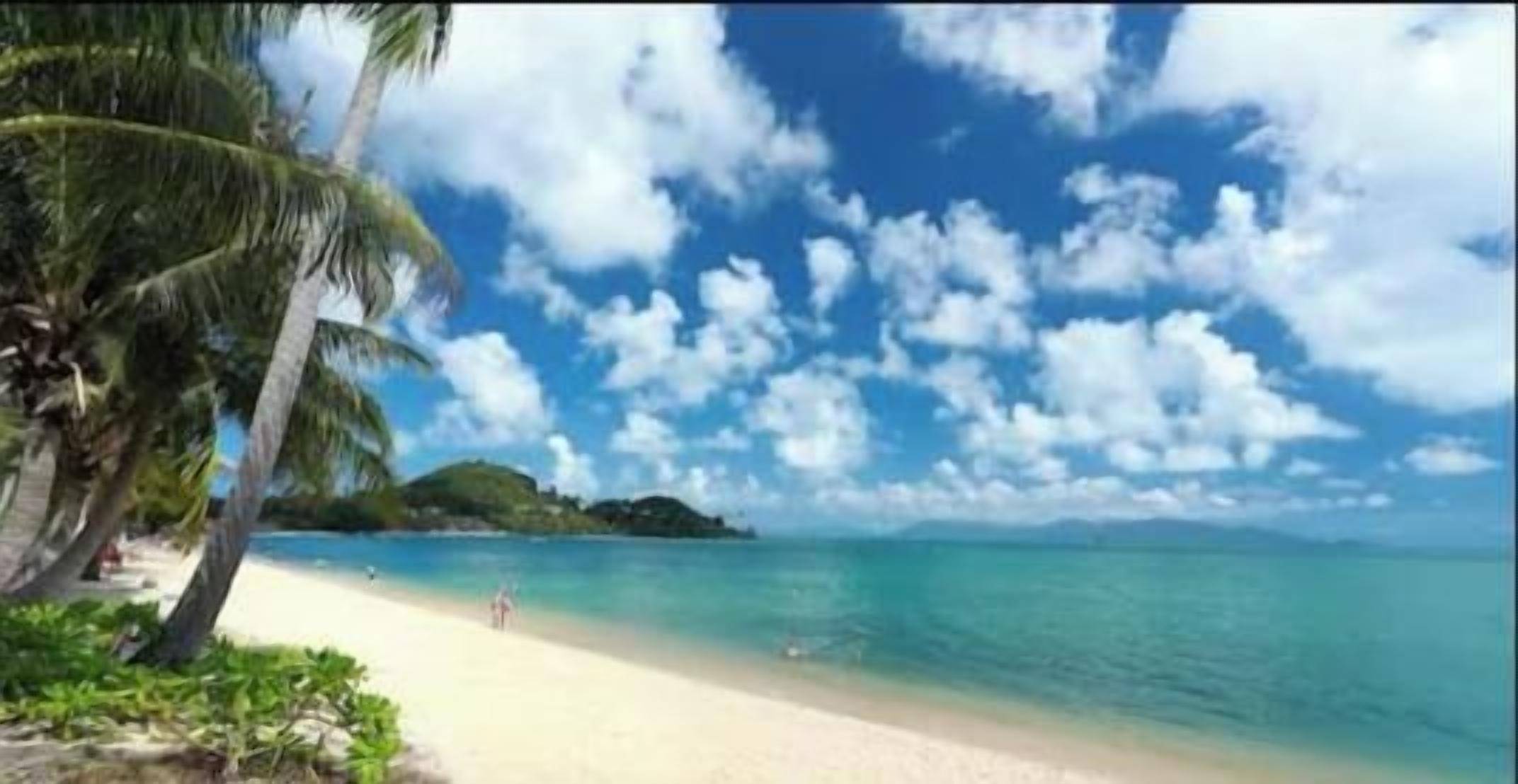 Une plage avec un ciel dégagé et quelques nuages, des palmiers et une mer calme.