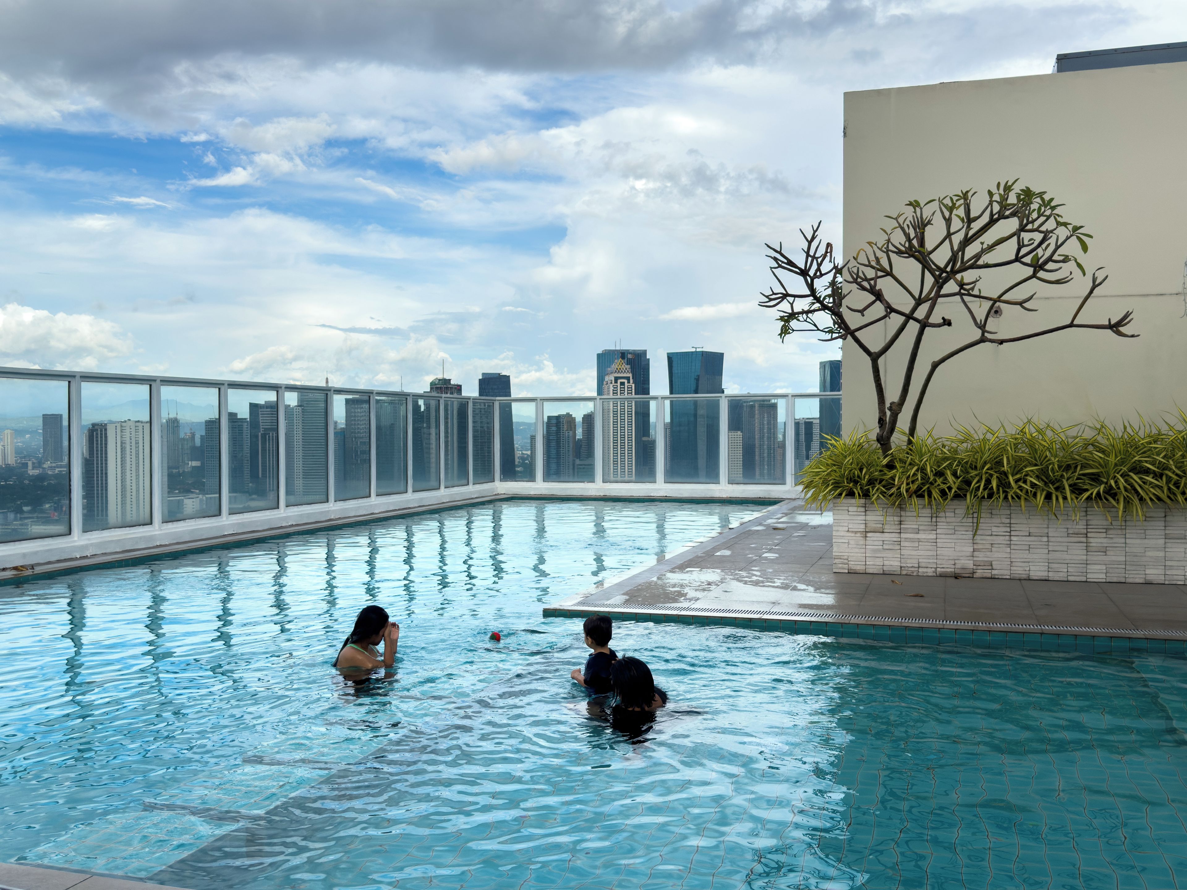 Una piscina en la azotea con vistas a un horizonte urbano, rodeada de barandillas de vidrio y un pequeño árbol.
