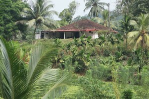 A single-story house with a red-tiled roof, surrounded by dense tropical vegetation including palm trees and various shrubs. - Breathtaking Mountain & Rainforest Views / Cozy 2- Bed HilltopBungalow (SP)