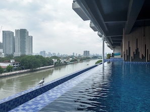 A view of a river with a tiled edge, a bird on the edge, and a cityscape in the background.