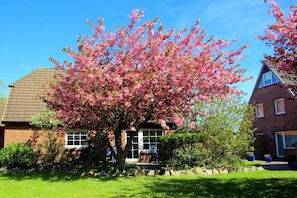 Ein Wohnhaus mit Backsteinfassade, einem großen blühenden Baum und einem gepflegten Rasen.