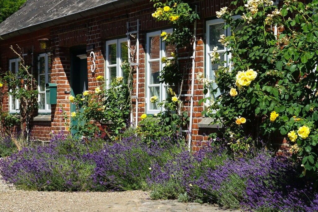 A brick building with a number '3' on the wall, a window, and a garden with purple flowers and climbing yellow roses.