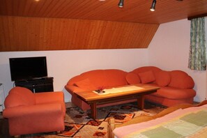 A room with a wooden ceiling, a sofa, a chair, a television, and a bed. - Holiday apartment in Schneverdingen with Wi-Fi (Schneverdingen)
