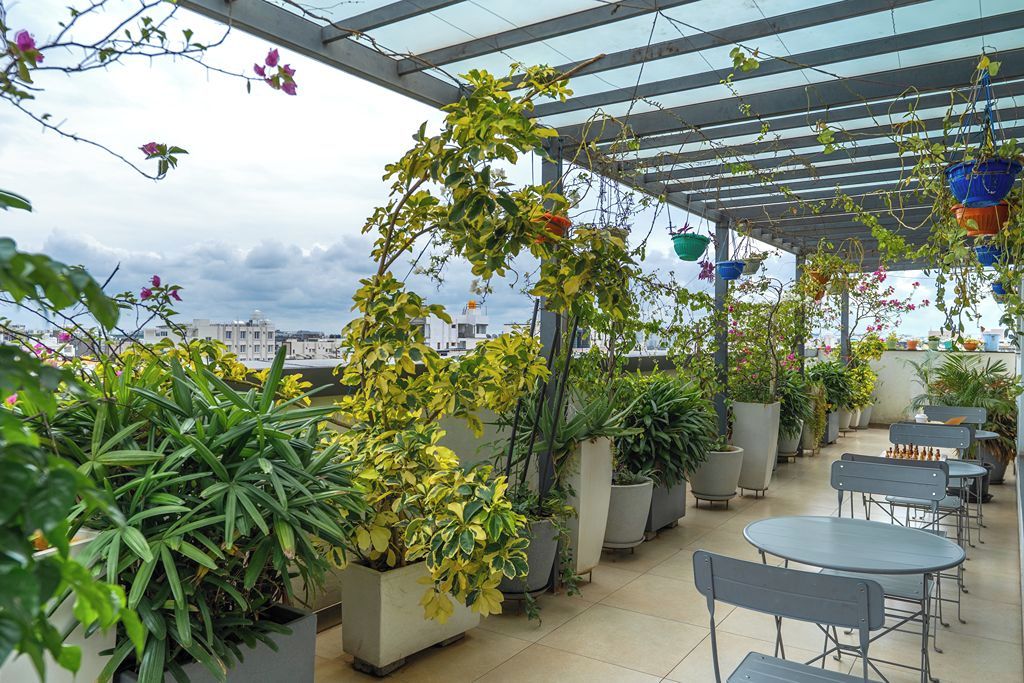 Una terraza en la azotea con plantas en macetas, mobiliario exterior y vistas a edificios al fondo.