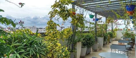 Une terrasse sur le toit, agrémentée de plantes en pot, de sièges d’extérieur et offrant une vue sur les bâtiments en arrière-plan.