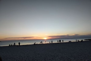 A beach with people and dogs at sunset. - Holiday apartment in Utersum with Wi-Fi (Utersum)