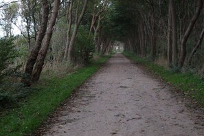 A narrow, unpaved path flanked by trees, leading into a forested area. - Holiday home with 1 bedroom (Kaltenhof (Insel Poel))