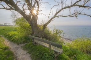 A bench under a tree by a body of water. - Holiday home with 2 bedrooms (Schwedeneck)