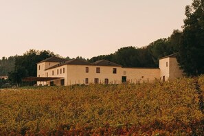 A building with a flat roof and multiple windows, surrounded by a vineyard. - Taboadella Casa Villae Relais & Chateaux (Silvã de Cima)