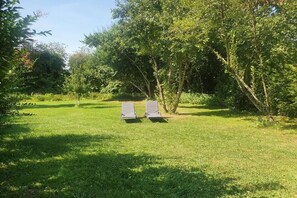 A grassy area with two lounge chairs and a tree in the center. - Paulsen Cottage||Gelting (Gelting)