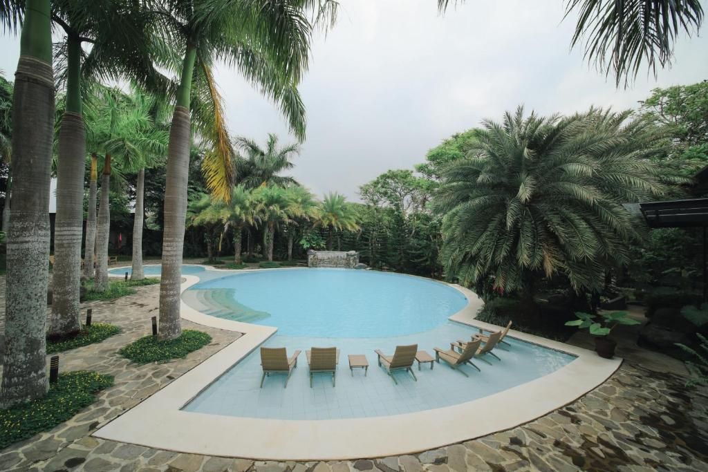 Una piscina con sillas de descanso, rodeada de palmeras y vegetación.