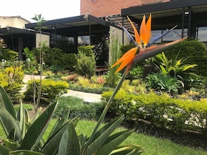 A garden with various plants and a bird of paradise flower in the foreground. - Hotel & Golf Isak (Rionegro)