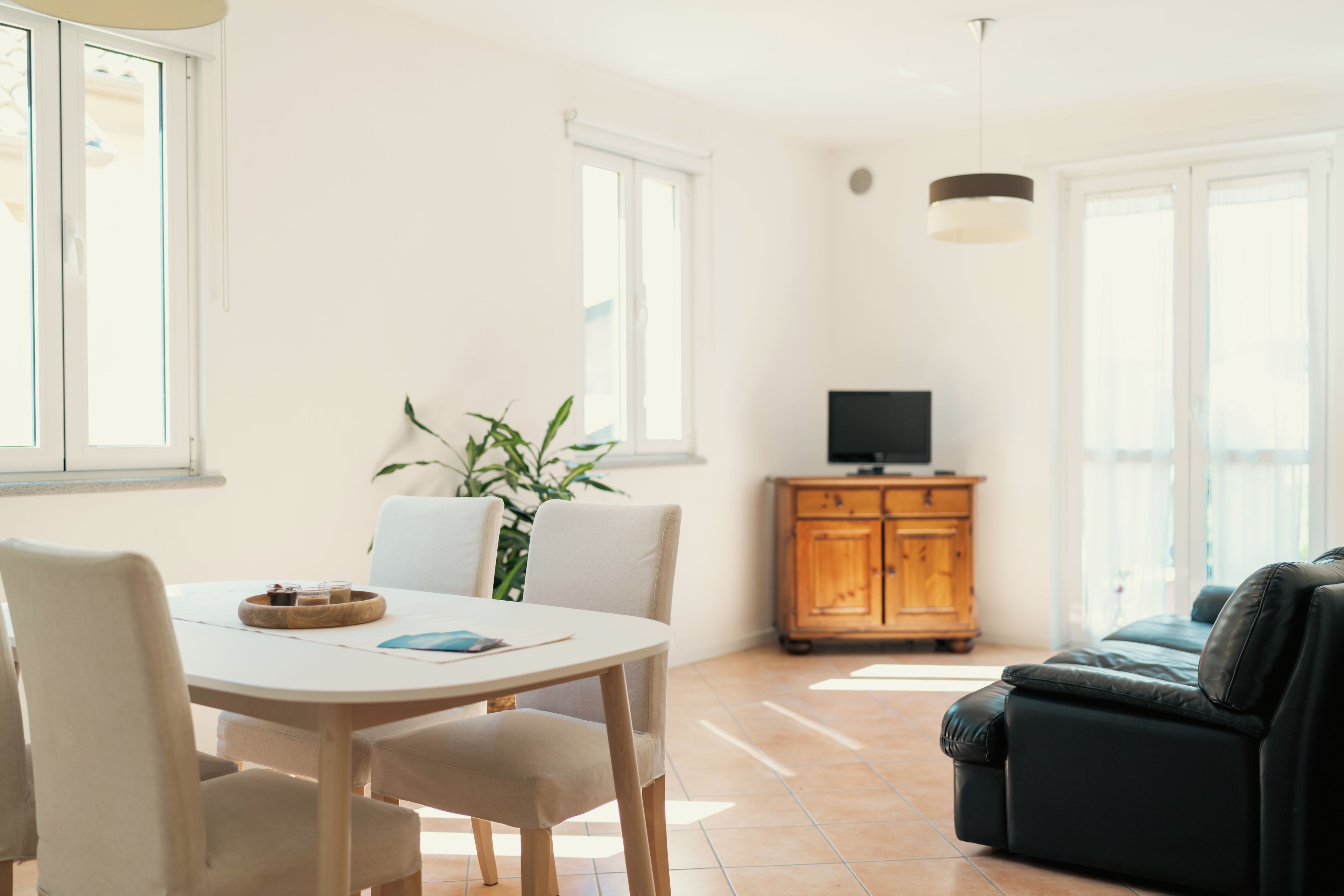Ein stilvoller Wohnbereich mit Essplatz, einer Couch, einem Fernseher und einer Pflanze.