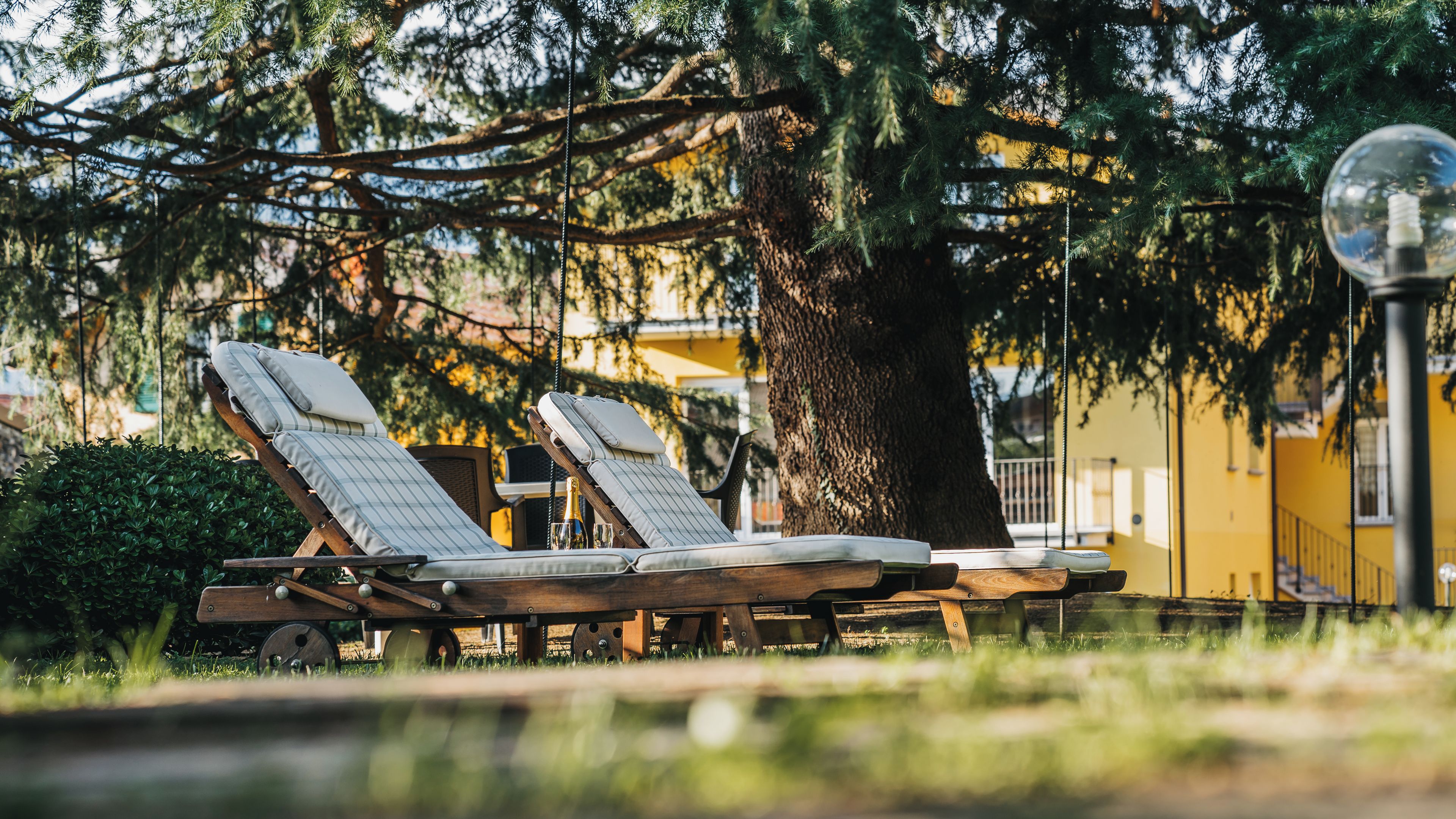 Deux fauteuils de jardin en bois, dotés de coussins, sont placés sous un grand arbre, avec un bâtiment visible en arrière-plan.